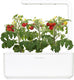 Click and grow - smart garden 3 - wit