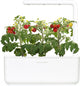 Click and grow - smart garden 3 - wit