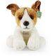 Rappa eco friendly serie - jack russell terrier - 30 cm - pluche hond - duurzaam