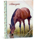 Amazone elastomap - bruin paard