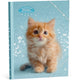 My favourite friends elastomap - kat
