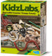 4m opgraafkit - insecten - wetenschap en spel - biologie - creepy crawly - kidzlabs - 5+