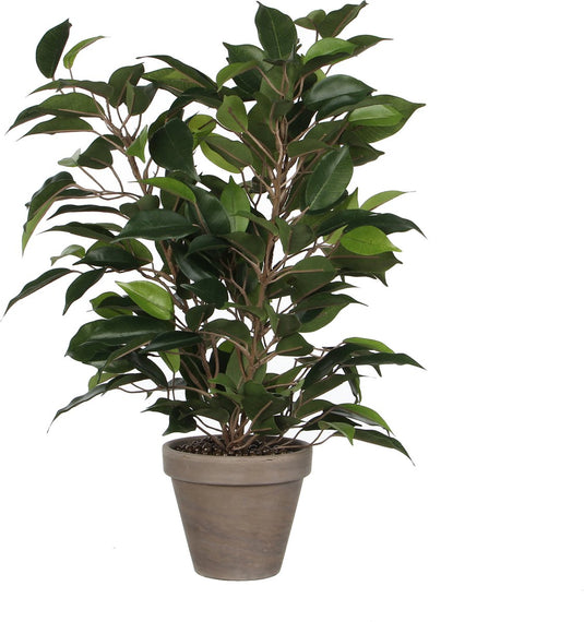 Mica decorations ficus natsja kunstplant groen