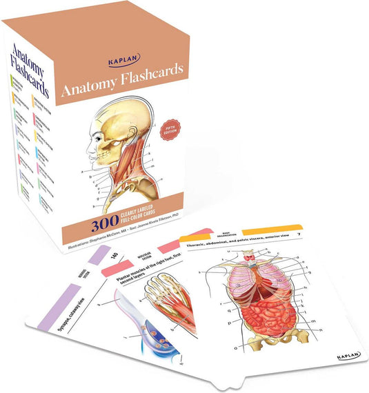 Kaplan anatomy flashcards