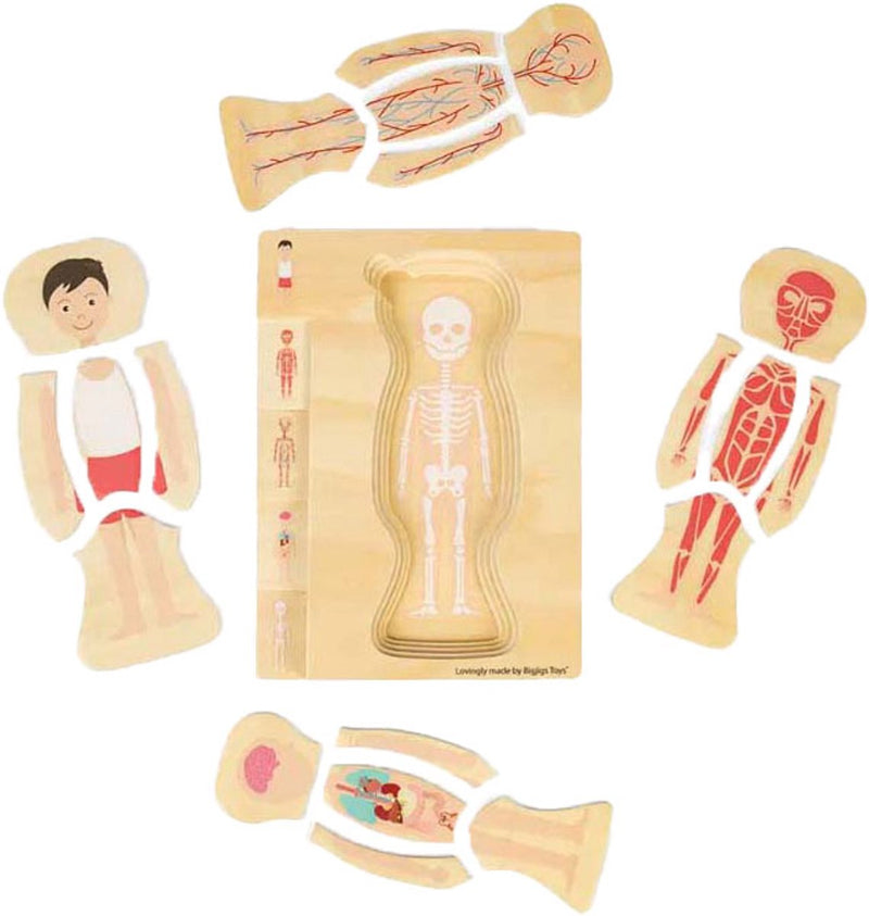 Afbeelding laden in galerijviewer, Bigjigs houten anatomiepuzzel - jongen, 26st.
