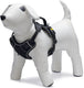 Beeztees parinca supreme y-tuig - hondentuig - nylon - zwart - maat m - 40-61 cm x 20 mm