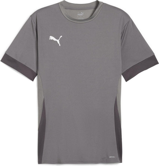 Puma teamgoal matchday jersey heren sportshirt - cast iron- white-shadow gray