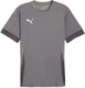 Puma teamgoal matchday jersey heren sportshirt - cast iron- white-shadow gray