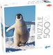 Tactic baby penguin – puzzel – 500 stukjes – schattige baby pinguïn in ijslandschap – pooldieren en antarctische natuur – hoogwaardige scandinavische kwaliteit