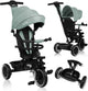 Lionelo berry driewieler 2in1 - tot 25kg - 360° draaibare stoel - wandelwagen fiets in één - pu wielen - vrijloopwiel - verstelbare duwstang - zon- regenkap - groeit met het kind mee - zonder gereedschap te monteren