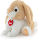 Trudi puppy knuffel konijn 18 cm - hoge kwaliteit pluche knuffel - knuffeldier voor jongens en meisjes - wit beige - 15x18x17 cm maat s