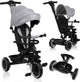 Lionelo berry driewieler 2in1 - tot 25kg - 360° draaibare stoel - wandelwagen fiets in één - pu wielen - vrijloopwiel - verstelbare duwstang - zon- regenkap - groeit met het kind mee - zonder gereedschap te monteren