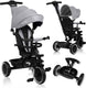 Lionelo berry driewieler 2in1 - tot 25kg - 360° draaibare stoel - wandelwagen fiets in één - pu wielen - vrijloopwiel - verstelbare duwstang - zon- regenkap - groeit met het kind mee - zonder gereedschap te monteren