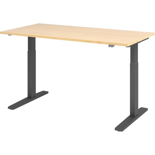 Bach zit-sta-bureau hammerer vxmka16 3 g multikleur 1600 x 800 mm