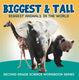 Biggest tall (biggest animals in the world) : second grade science workbook series