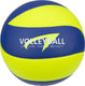Avento volleybal pu gelamineerd - match pro - soft touch - blauw geel