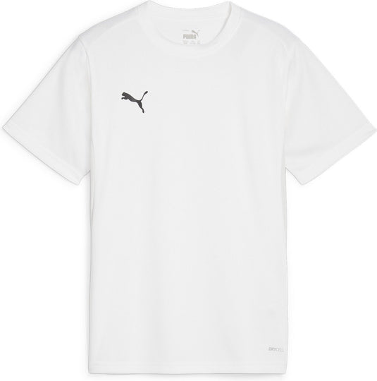 Puma teamgoal jersey jr jongens sportshirt - white- black-feather gray
