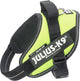 Julius k9 julius-k9 idc powertuig - hondentuig - s - mini - neon