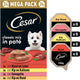 Cesar hondenvoer - classic mix in paté - kuipjes - 24x150g