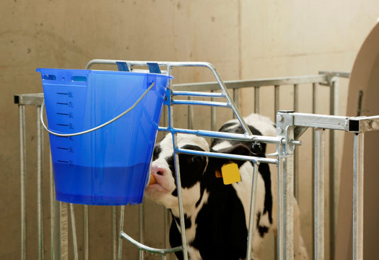 Producten kalveremmer kunststof afgeplat kaal blauw transparant