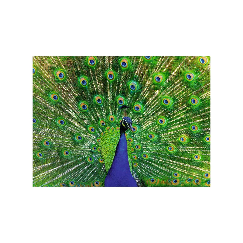 Load image into Gallery viewer, Ravensburger puzzel peacock 500 stukjes

