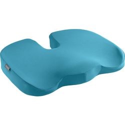 Leitz zitkussen ergo cosy 5284