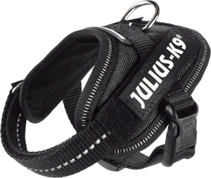 Julius k9 julius-k9 idc powertuig - hondentuig - 3xs - baby 1 - zwart