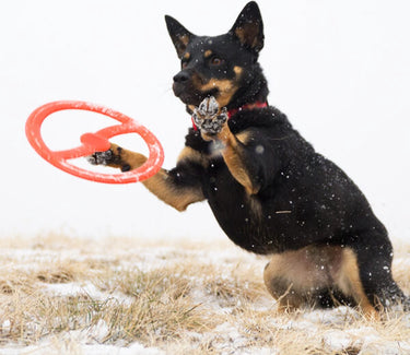 Bionic toss-n-tug ring 23cm oranje