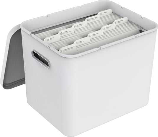Rotho my paper archiefdoos a4, documentenorganizer met inhangers, 40x29,2x29,8 cm, wit