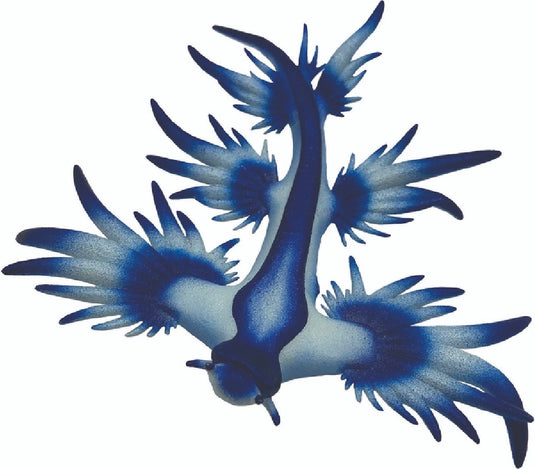 Bullyland 67511 – speelfiguur en verzamelfiguur blauwe zeeslak – ca. 4 cm – levensecht en detailrijk vormgegeven – ideaal als educatief speelfiguur en klein cadeautje voor kinderen vanaf 3 jaar.