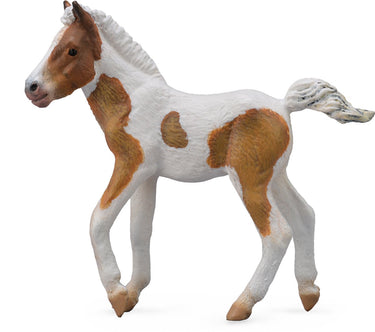 Collecta figurine - dartmoor hill veulen - (m) - paarden - handgeschilderd - miniatuur