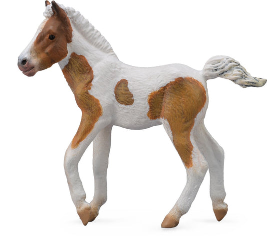 Collecta figurine - dartmoor hill veulen - (m) - paarden - handgeschilderd - miniatuur