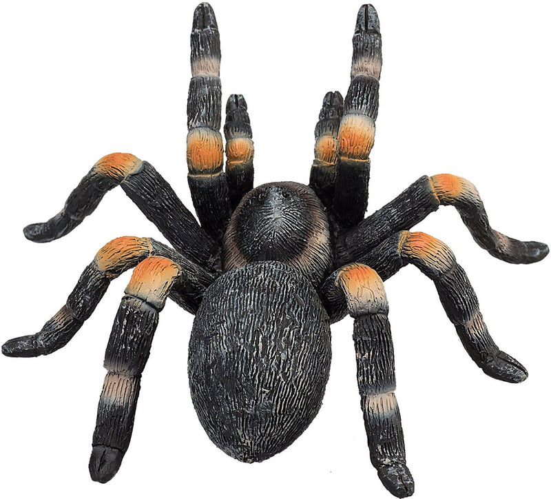 Chargez l'image dans la visionneuse de la galerie, Mojo wildlife rode tarantula - 387213
