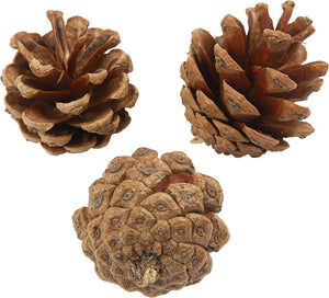Creativ company dennenappels - natuurlijk materiaal - 500 gr
