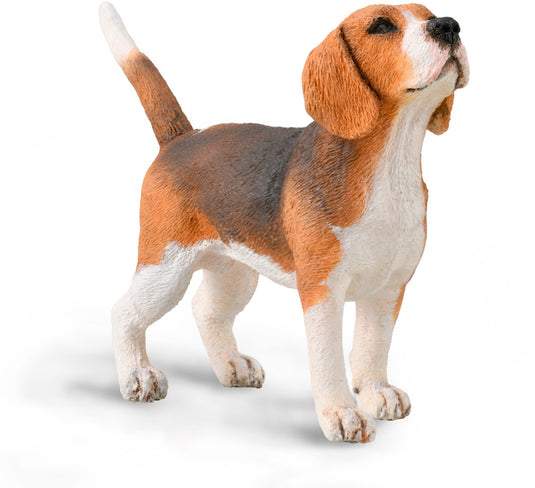 Collecta figurine - beagle - (m) - honden - handgeschilderd - miniatuur