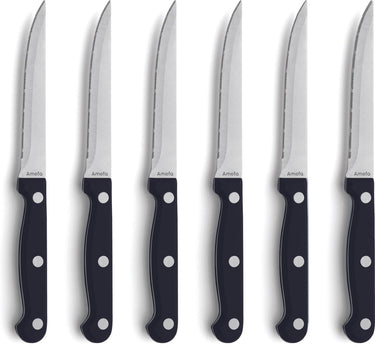 Amefa steakmessenset - 6-delig - 6 persoons - vaatwasserbestendig - vleesmes