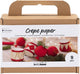 Creative company creativ company mini creatieve box kerstornamenten crêpepapier