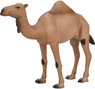Mojo wildlife arabische kameel - 387113