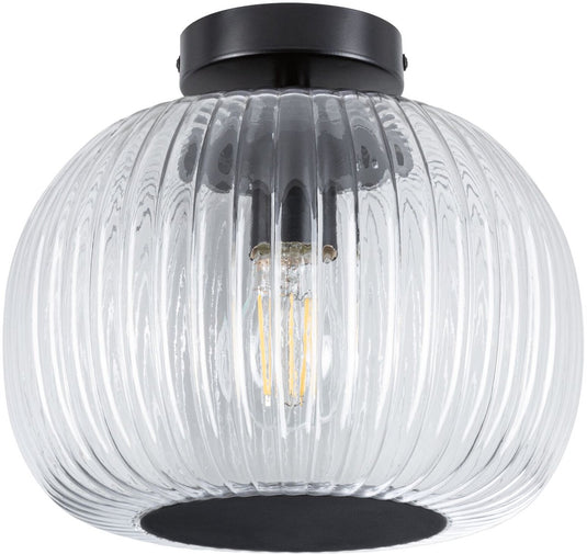 Paulmann led-plafondlamp ruya ip44 e27 230v max. 60w dimbaar glas, zwart mat