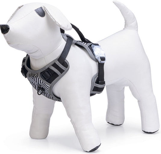 Beeztees safety gear parinca premium y-tuig - hondentuig - led - nylon - zwart - 38-51 cm x 15 mm