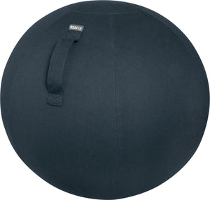 Leitz zitbal ergo cosy 5279