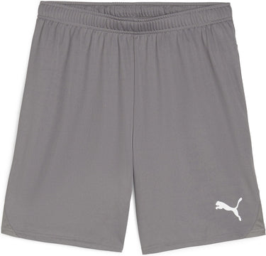 Puma teamgoal shorts heren sportbroek - cast iron- white