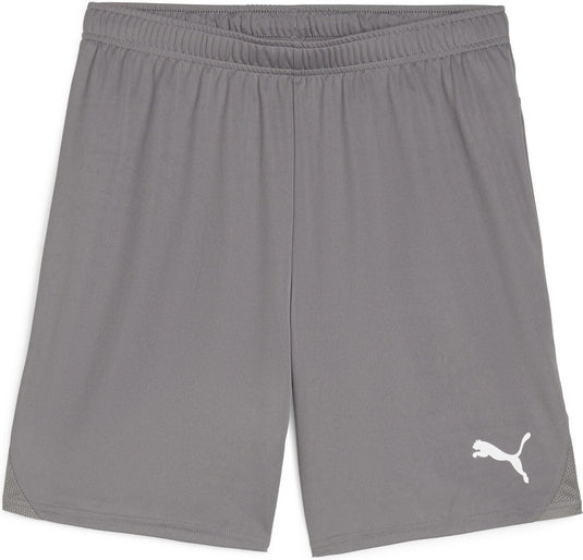 Puma teamgoal shorts heren sportbroek - cast iron- white