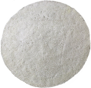 Hd collection wandplaat zandsteen ivoor 69,8x69,8x8,8cm
