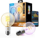 Govee g80 smart edison led lamp e27 rgbww matter 500 lm 2 stuks