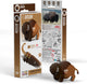 Eugy 3d puzzel - bizon - wilde dieren - duurzaam - verzamel ze allemaal - 6 jaar