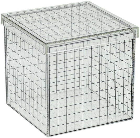 Albatros hengelsport transparante 3d rasterkubus - 10x10x10 cm