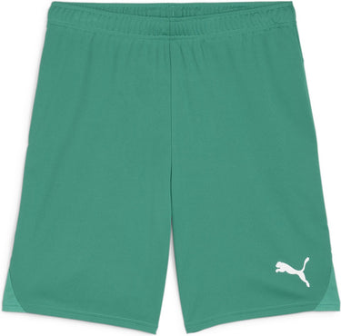 Puma teamgoal shorts heren sportbroek - sport green- white