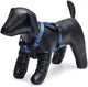 Beeztees parinca premium y-tuig - hondentuig - nylon - blauw - 37-40 cm x 15 mm