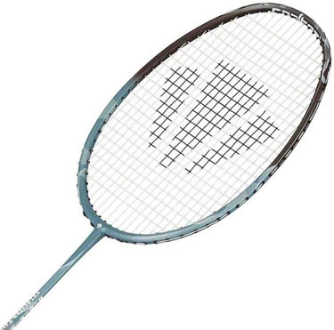 Carlton velocitex v410